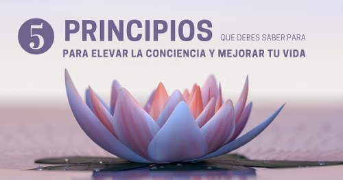 Micro-taller gratuito: “5 principios que debes saber para elevar la conciencia y elevar y mejorar tu vida”.
