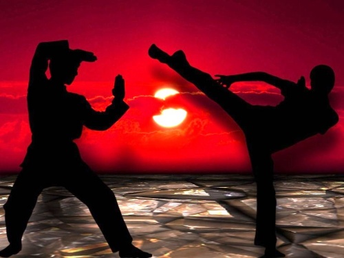 Filosofía de las artes marciales