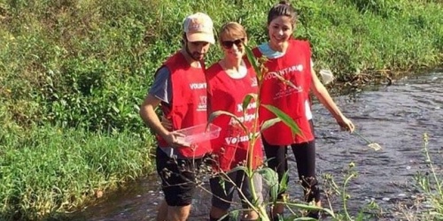 *Proyecto Ríos* Voluntariado Ecológico en el río Ripoll